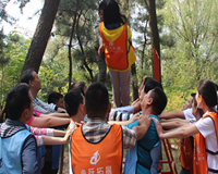 当今企业如何通过拓展训练服务解决实际面临的问题