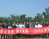 亲近自然 欢乐采摘2020年瑞东拓展训练服务圆满结束